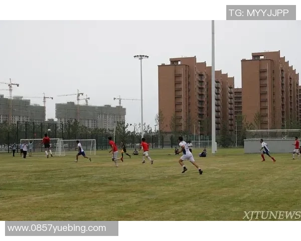 徐良推荐的足球明星们在绿茵场上的精彩表现与个人魅力分析