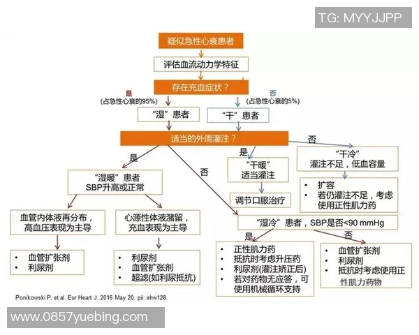 武汉篮球队运营解析：从市场策略到球迷互动的全景观察