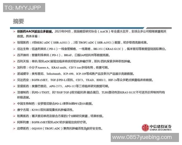 北京排球队技术分析与战术创新的深度探讨与展望